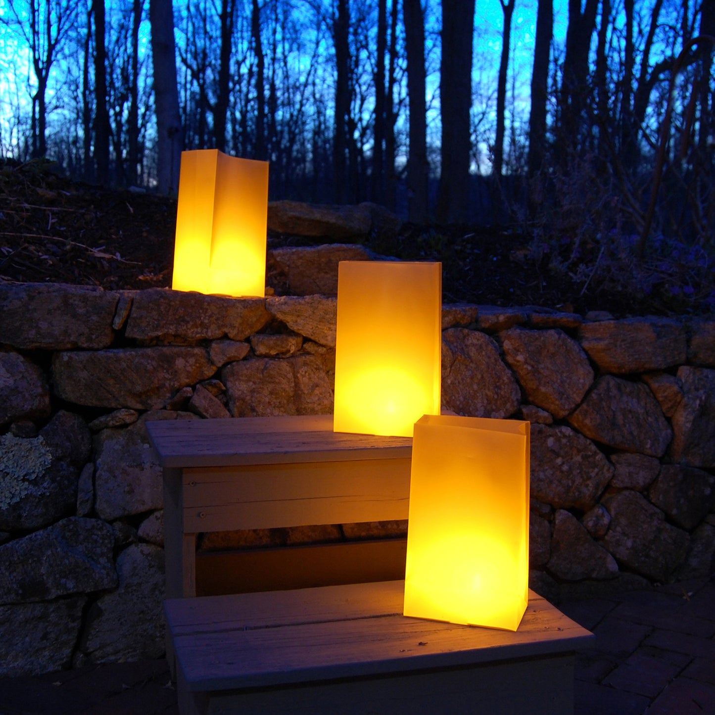 Plastic Luminaria Bags - Set of 100