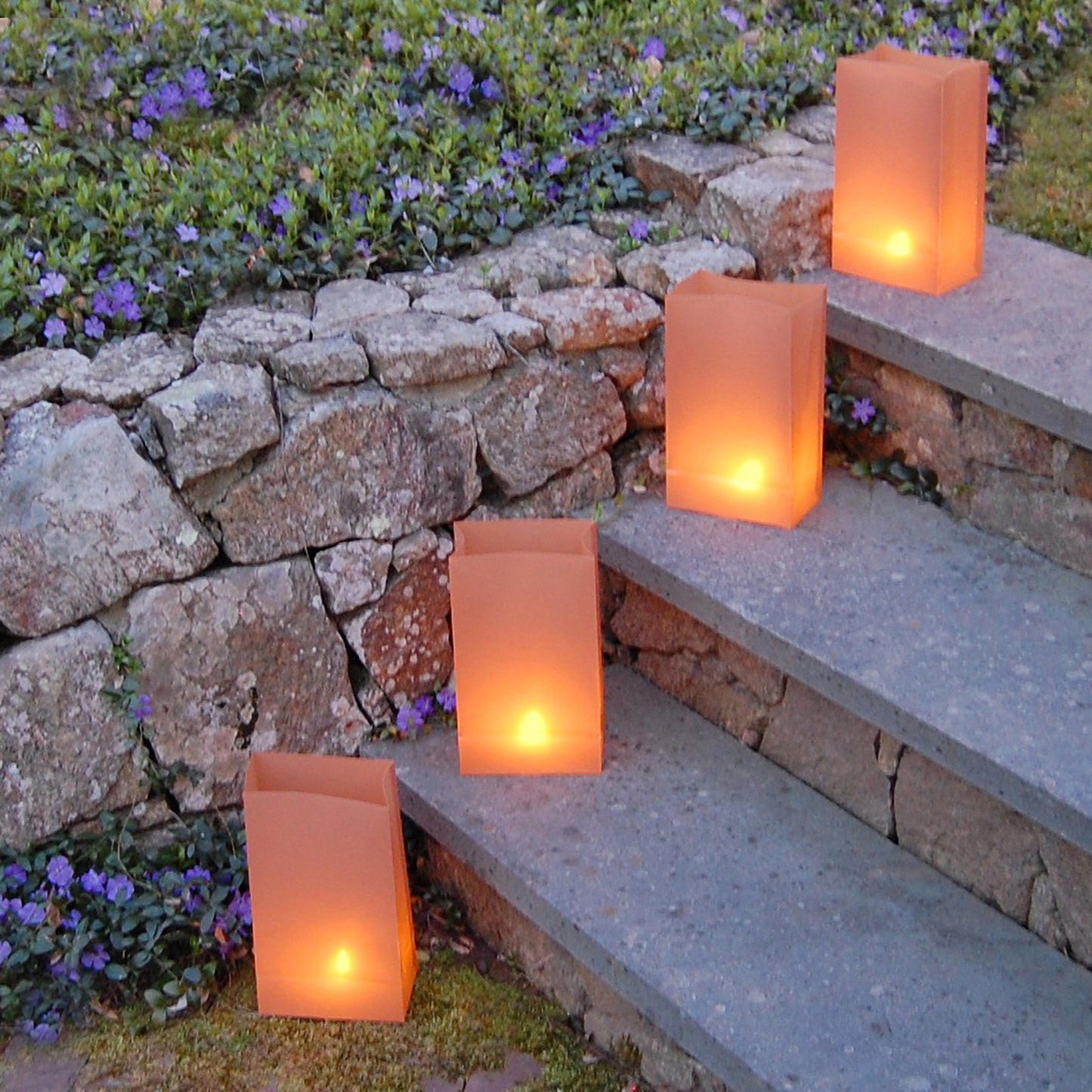 Plastic Luminaria Bags - Set of 100