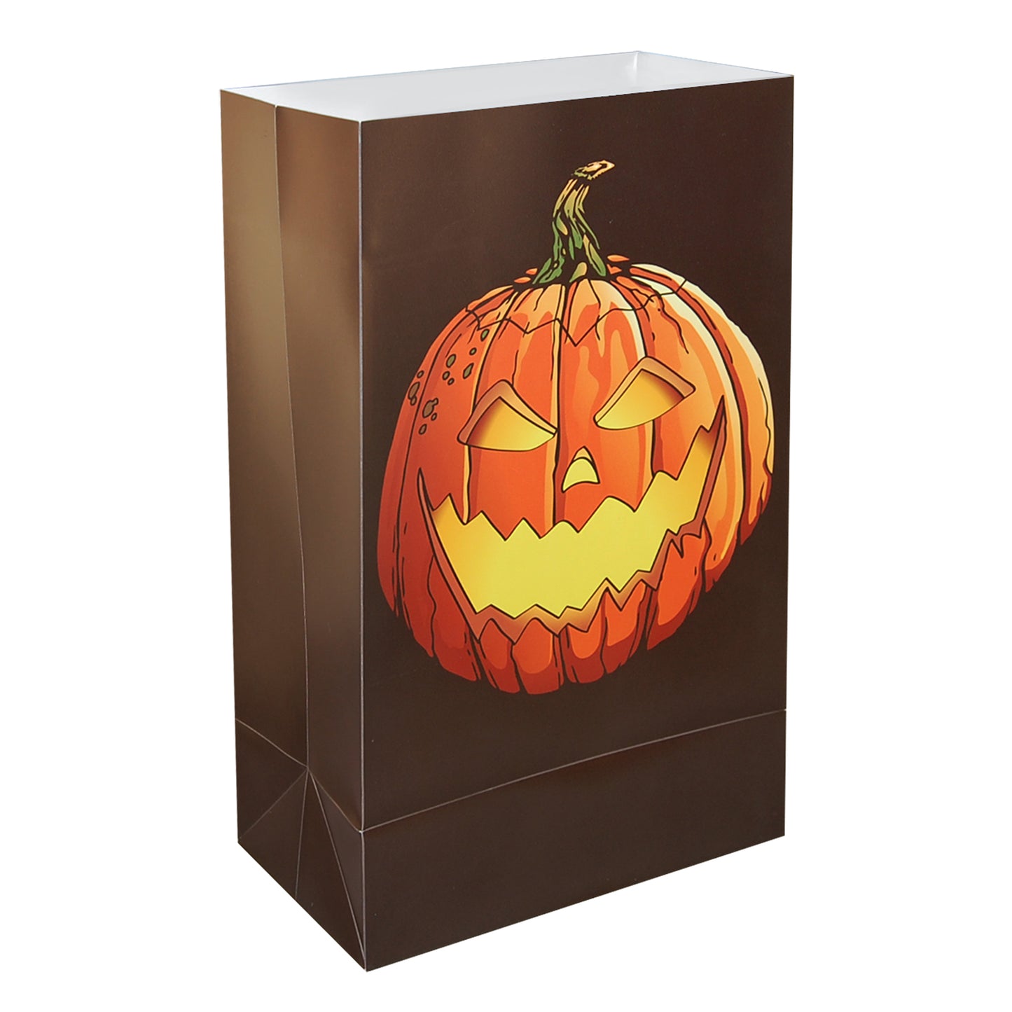 Plastic Luminaria Bags - Set of 12