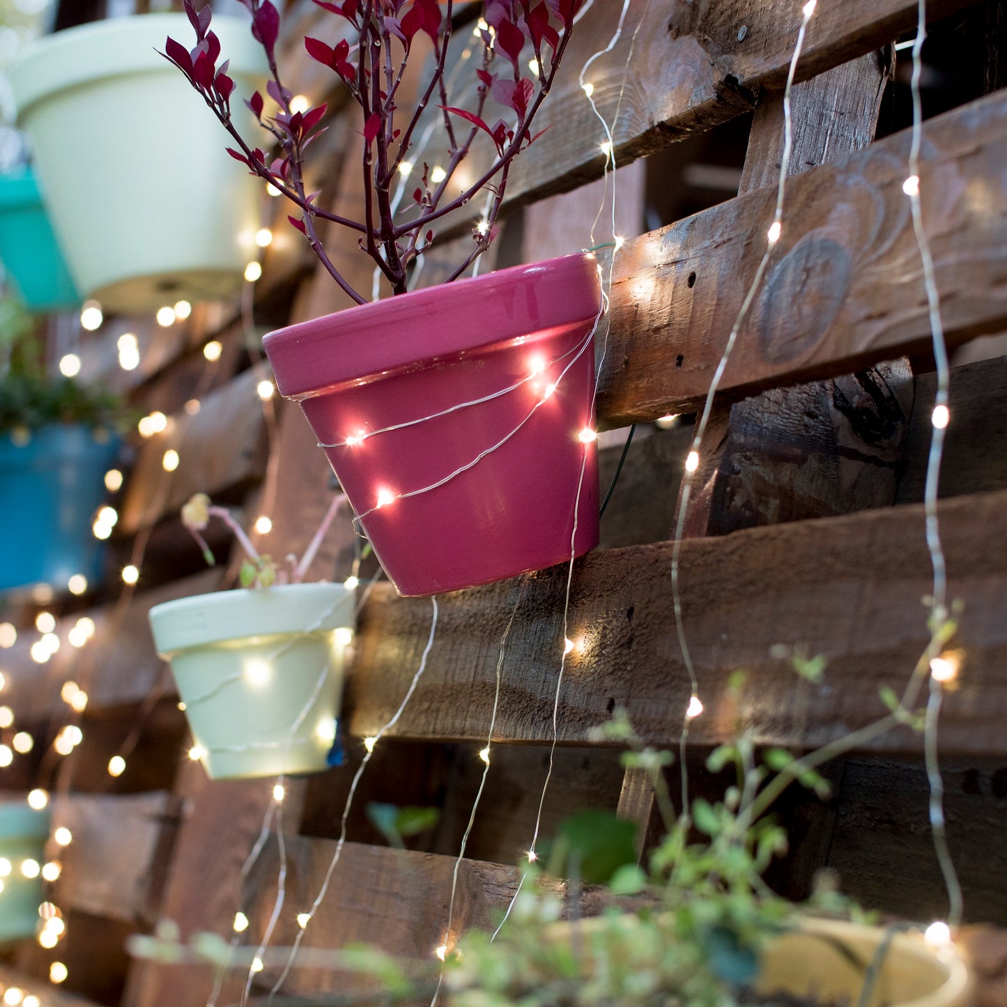Electric Multi-Strand LED Fairy String Lights