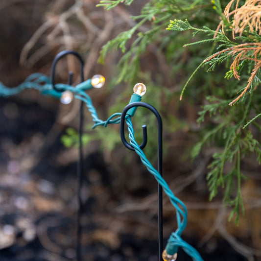 Festoon Pathway LED String Lights with White Lights