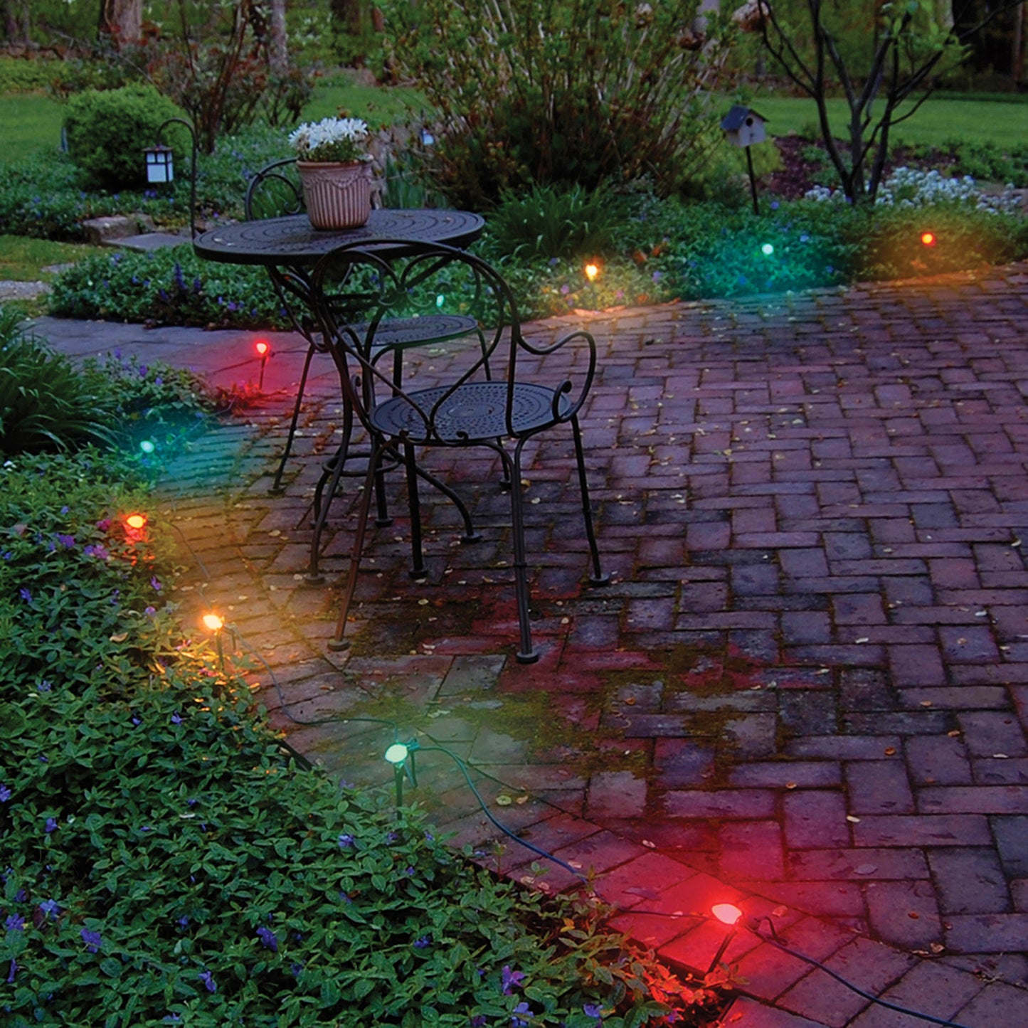 Electric String Lights with 10 C7- 5-Watt Bulbs - multi