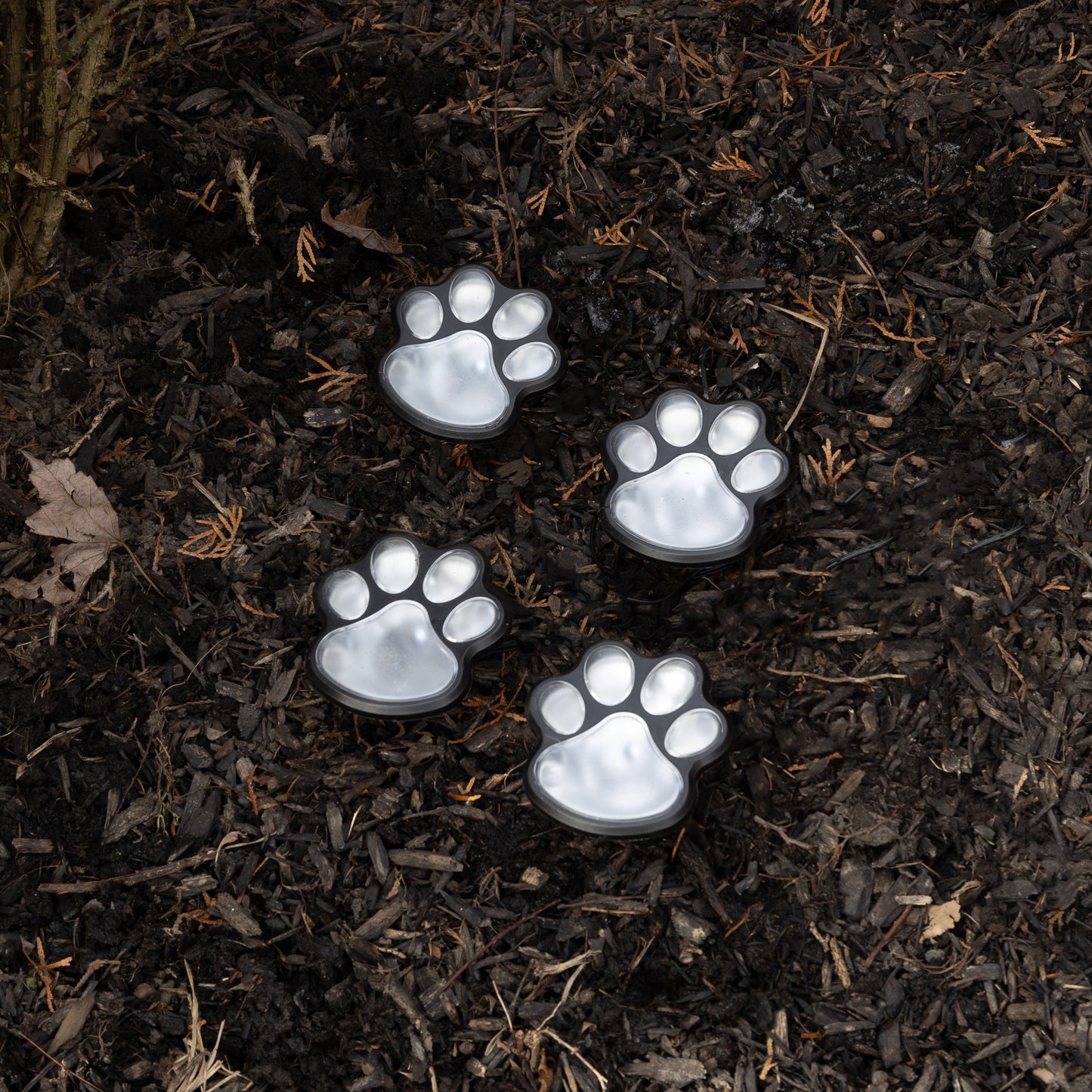 Solar-Powered Paw Print Pathway Lights - 4 Lights