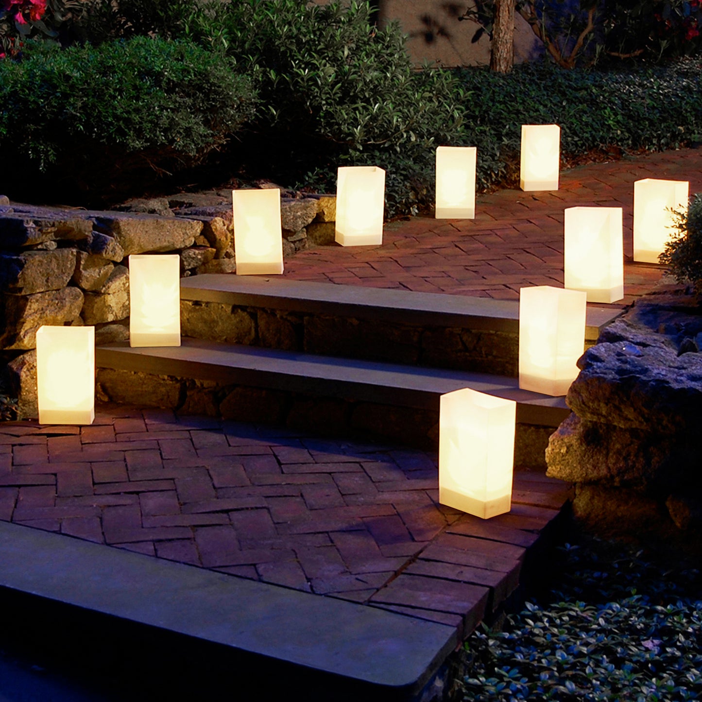 Battery-Operated LED Luminaria Kit - Set of 12