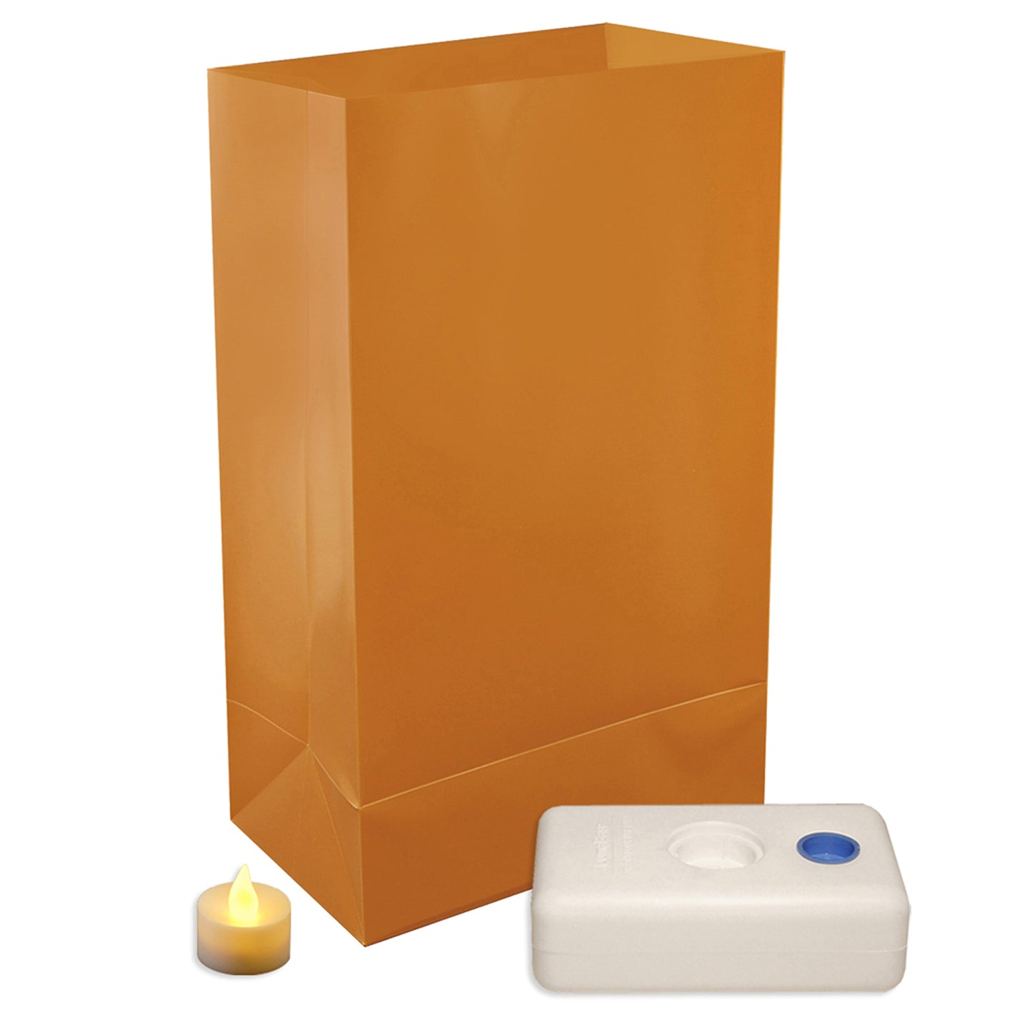Battery-Operated LED Luminaria Kit - Set of 12