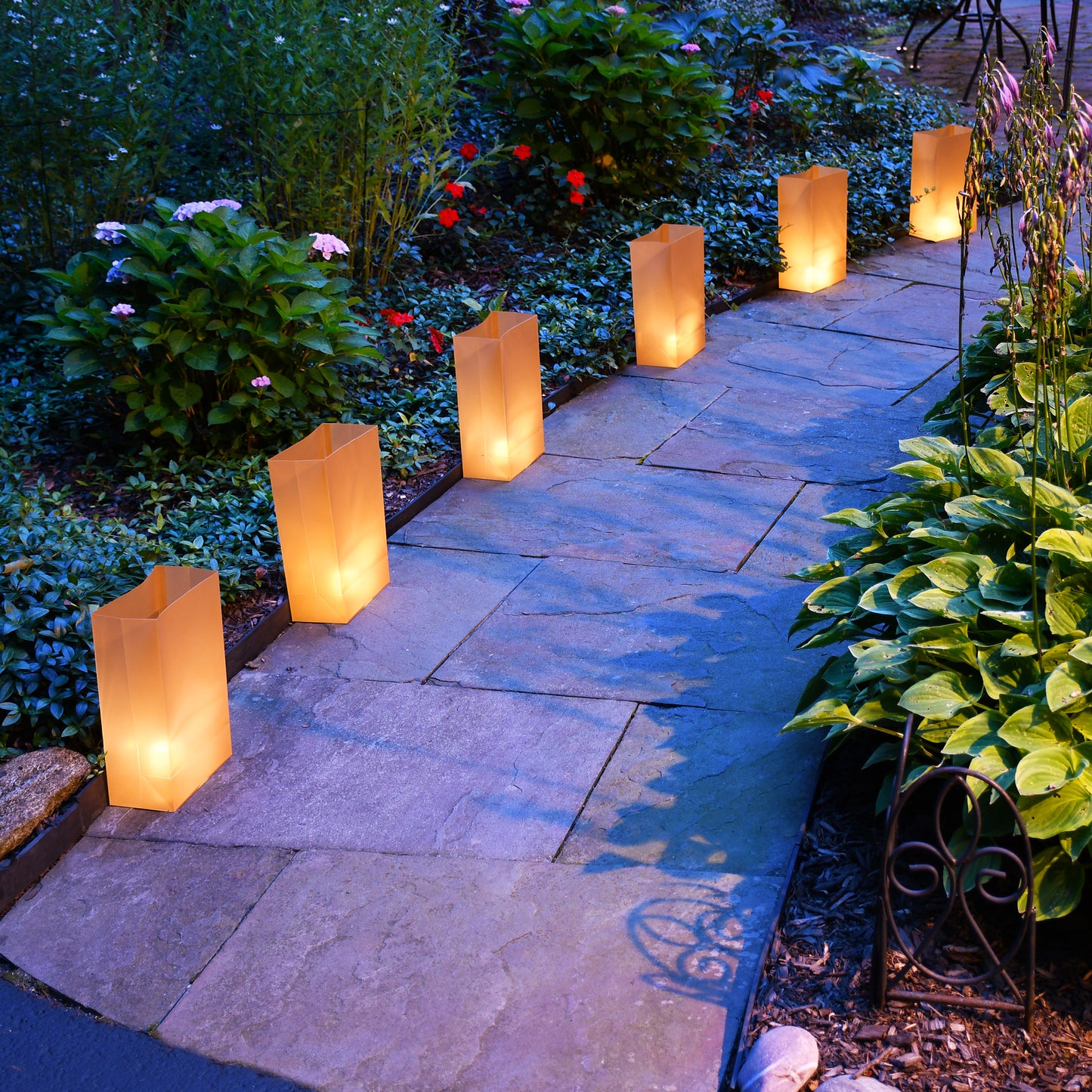 Battery-Operated LED Luminaria Kit - Set of 12
