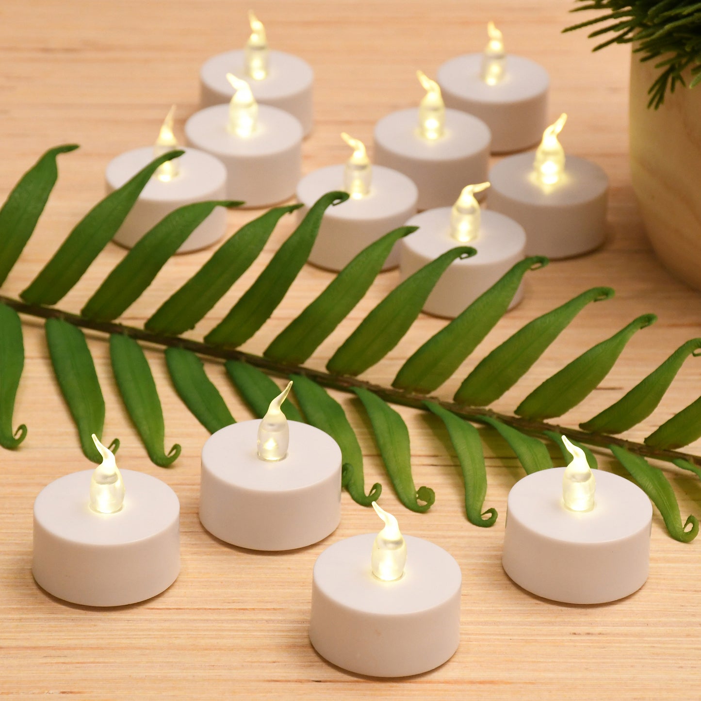Battery-Operated LED Tea Lights - Set of 24