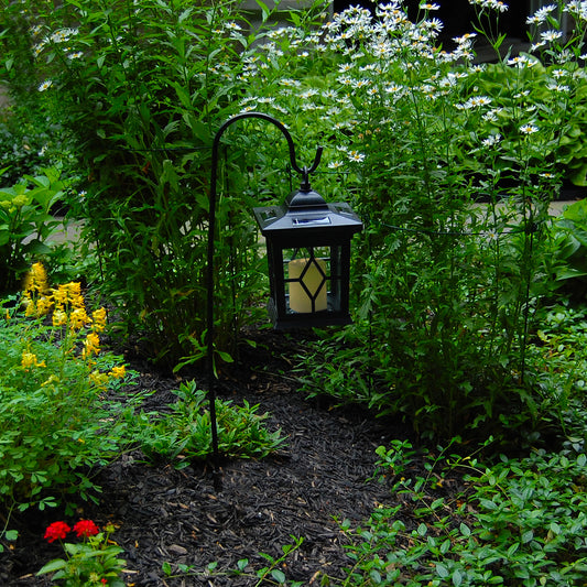 Solar Lantern with Shepherd's Hook