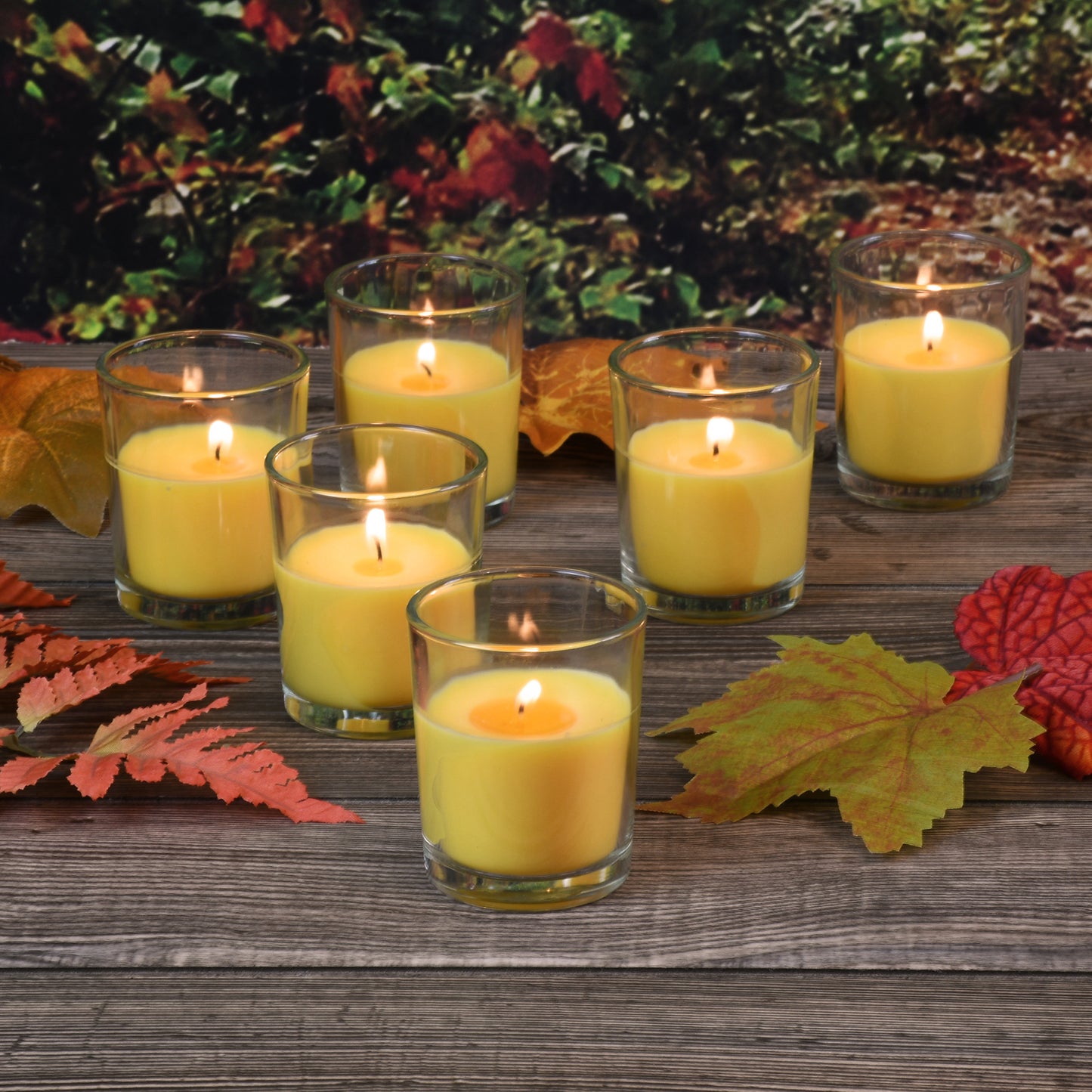 Citronella Votive Candles in Clear Glass Holders - Set of 12