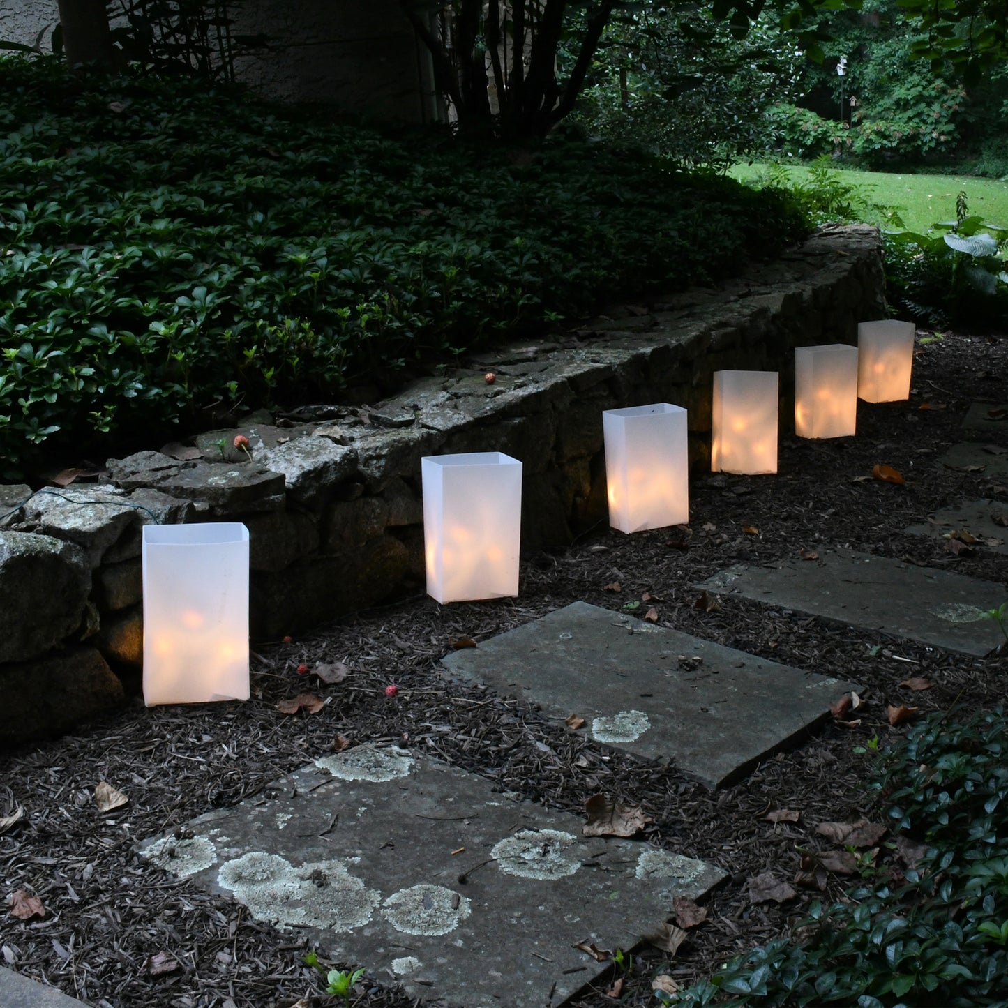 Electric LED Luminaria Kit, White - Set of 6
