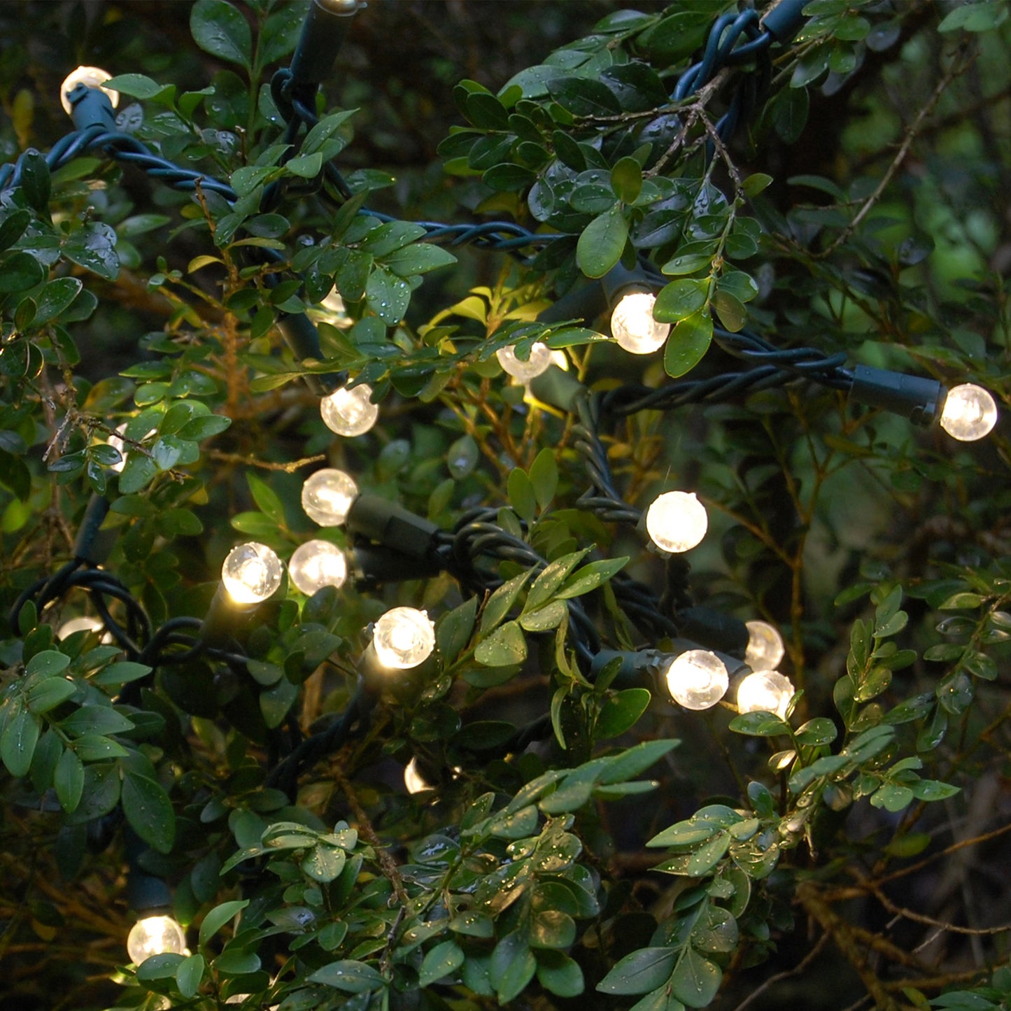 Electric String Lights - Plastic Globes - warm white