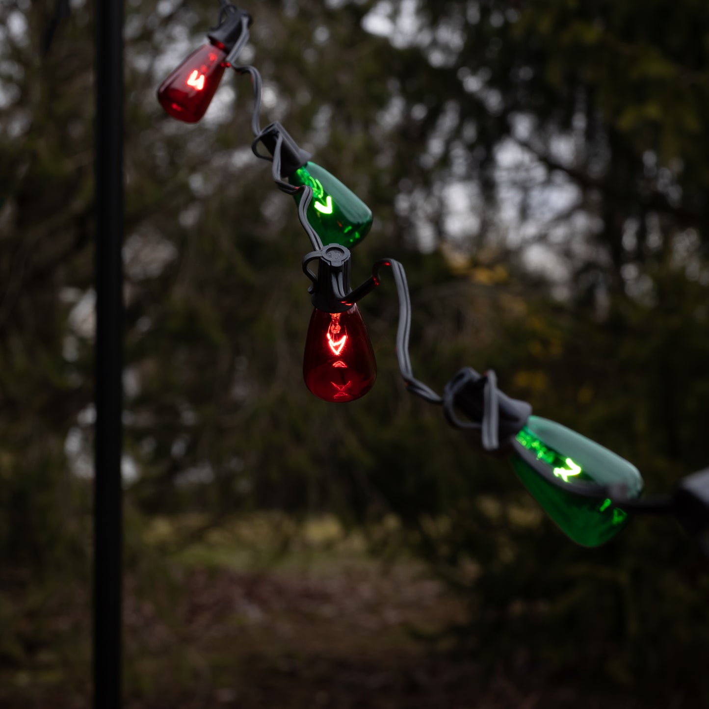 Electric String Lights with 10 Red and Green Edison Bulbs