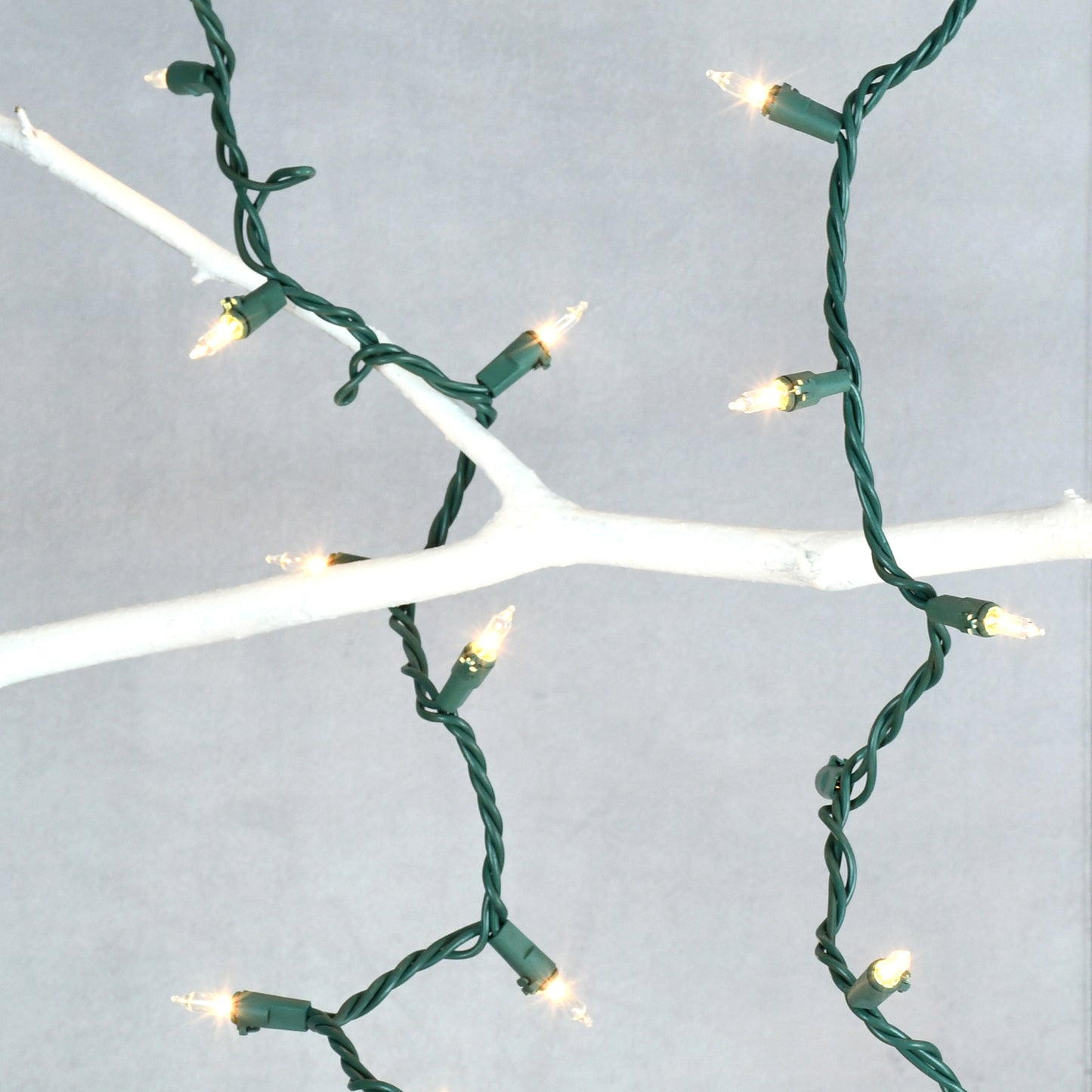 Electric Mini String Lights with 100 Clear Bulbs - Set of 2