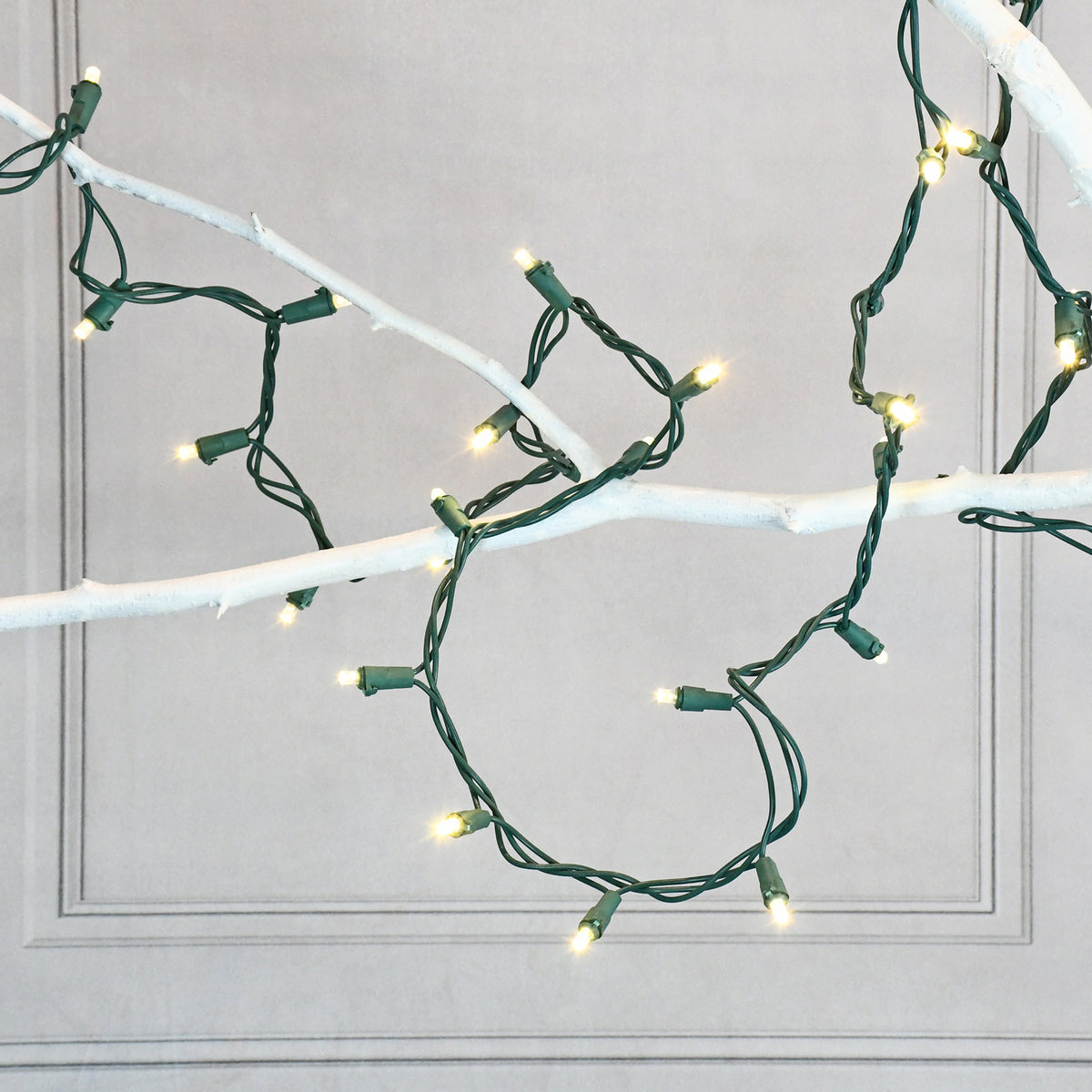 Mini Led String Spotlights Electric LED Mini String Lights with 70 Soft White Bulbs – LumaBase