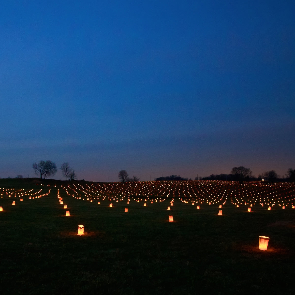 Paper Luminaria Bags - Tan