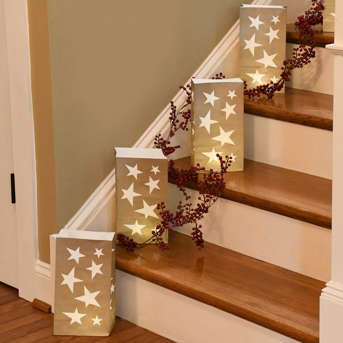 Paper Luminaria Bags - Set of 24