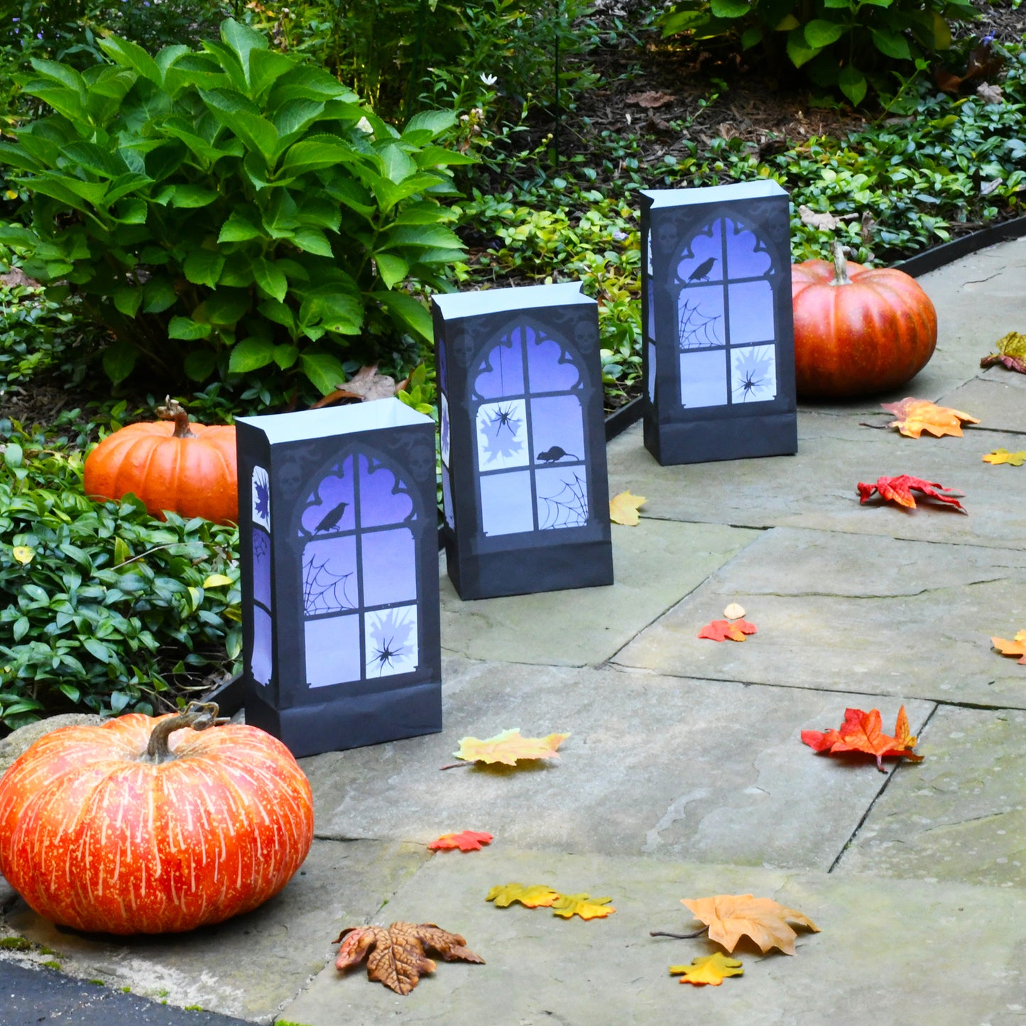 Paper Luminaria Bags, Haunted Window - Set of 24