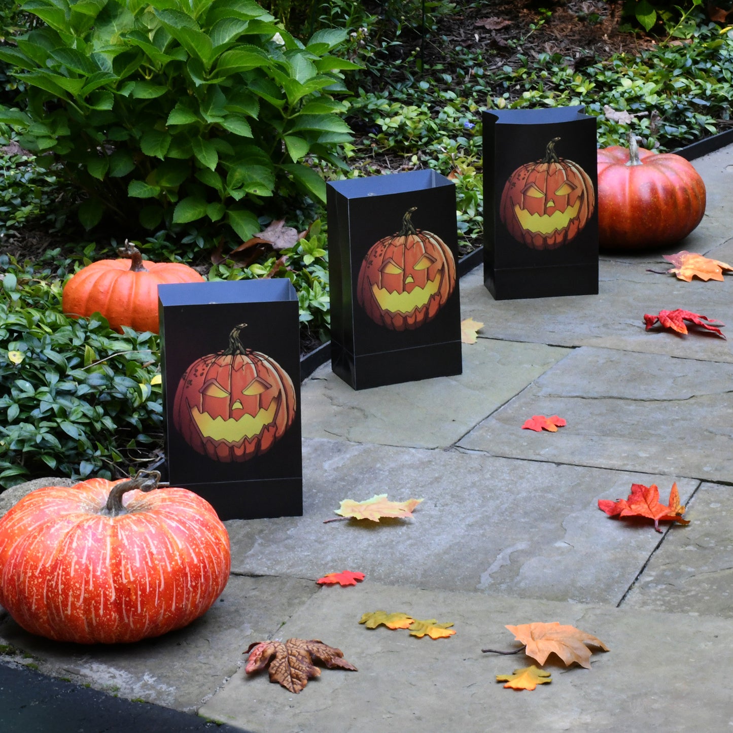 Plastic Luminaria Bags - Set of 12