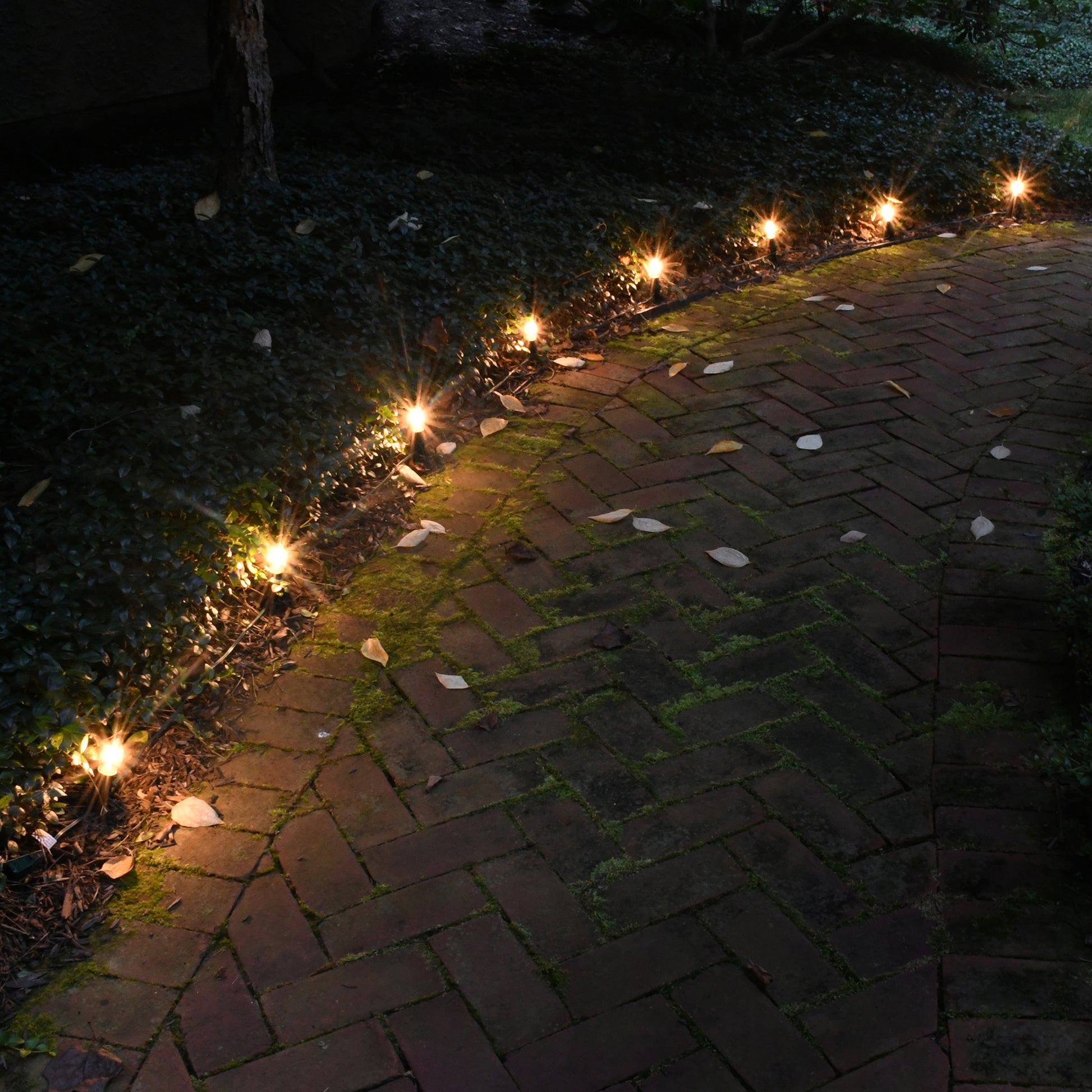 Electric Pathway Lights with 8 Soft White LED Bulbs – LumaBase