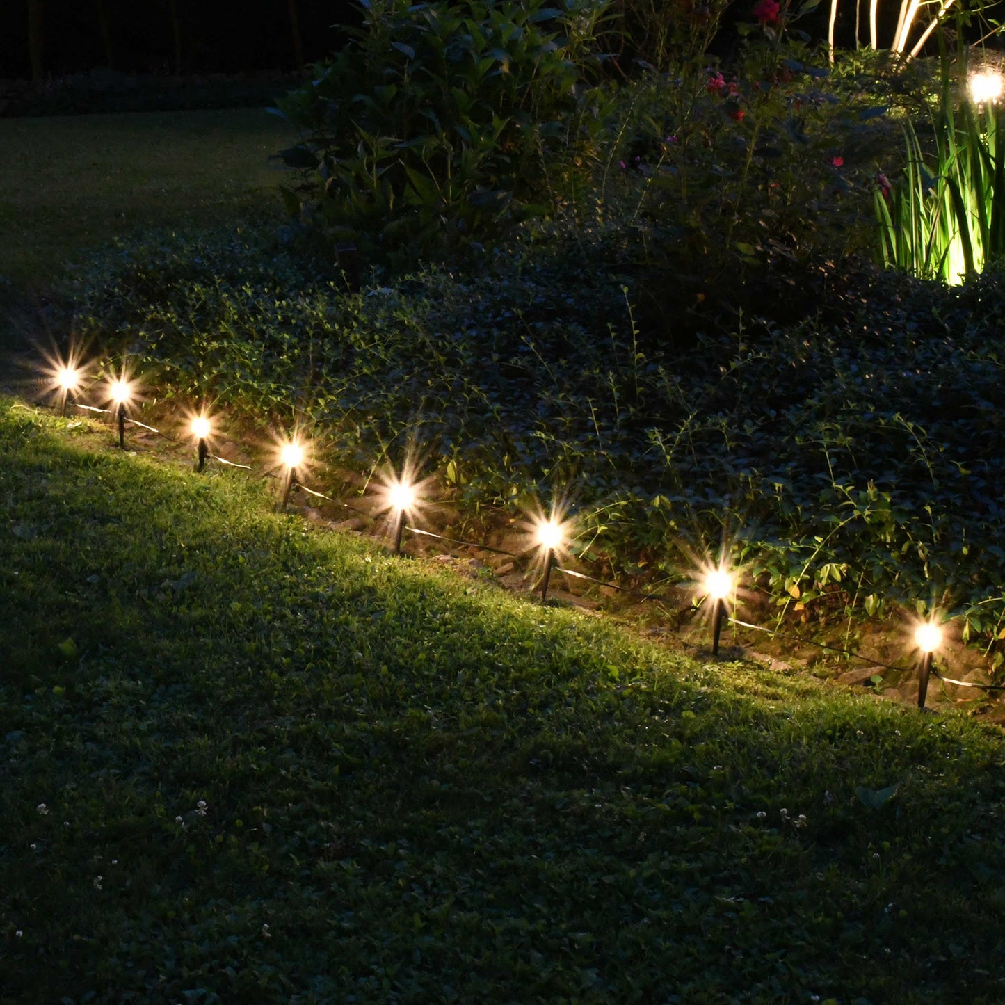 Solar Powered Pathway Lights with 8 White Globe Bulbs