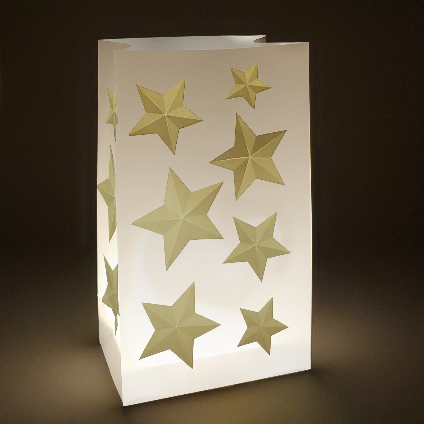 Battery-Operated Luminaria Kit with Timer - Set of Six