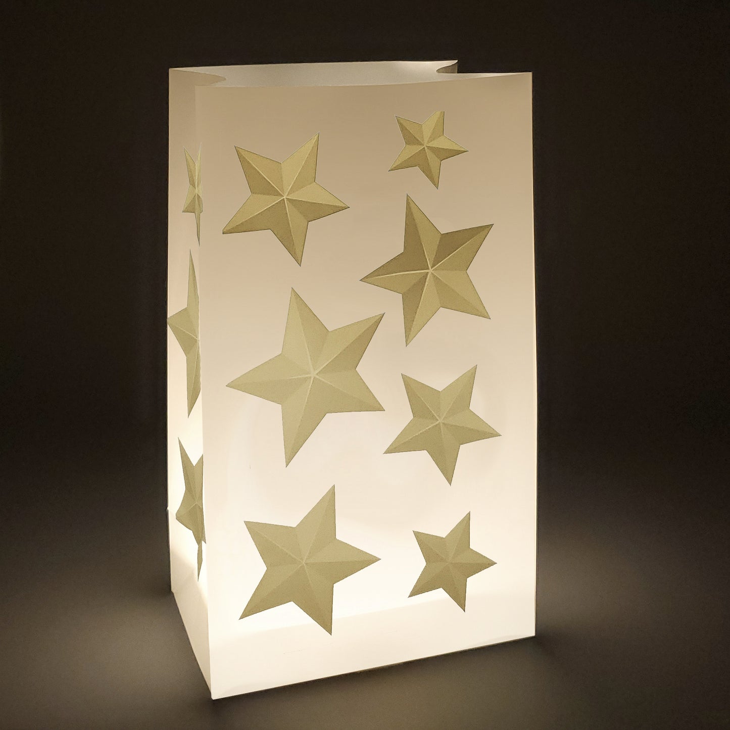 Battery-Operated Luminaria Kit - Set of 6