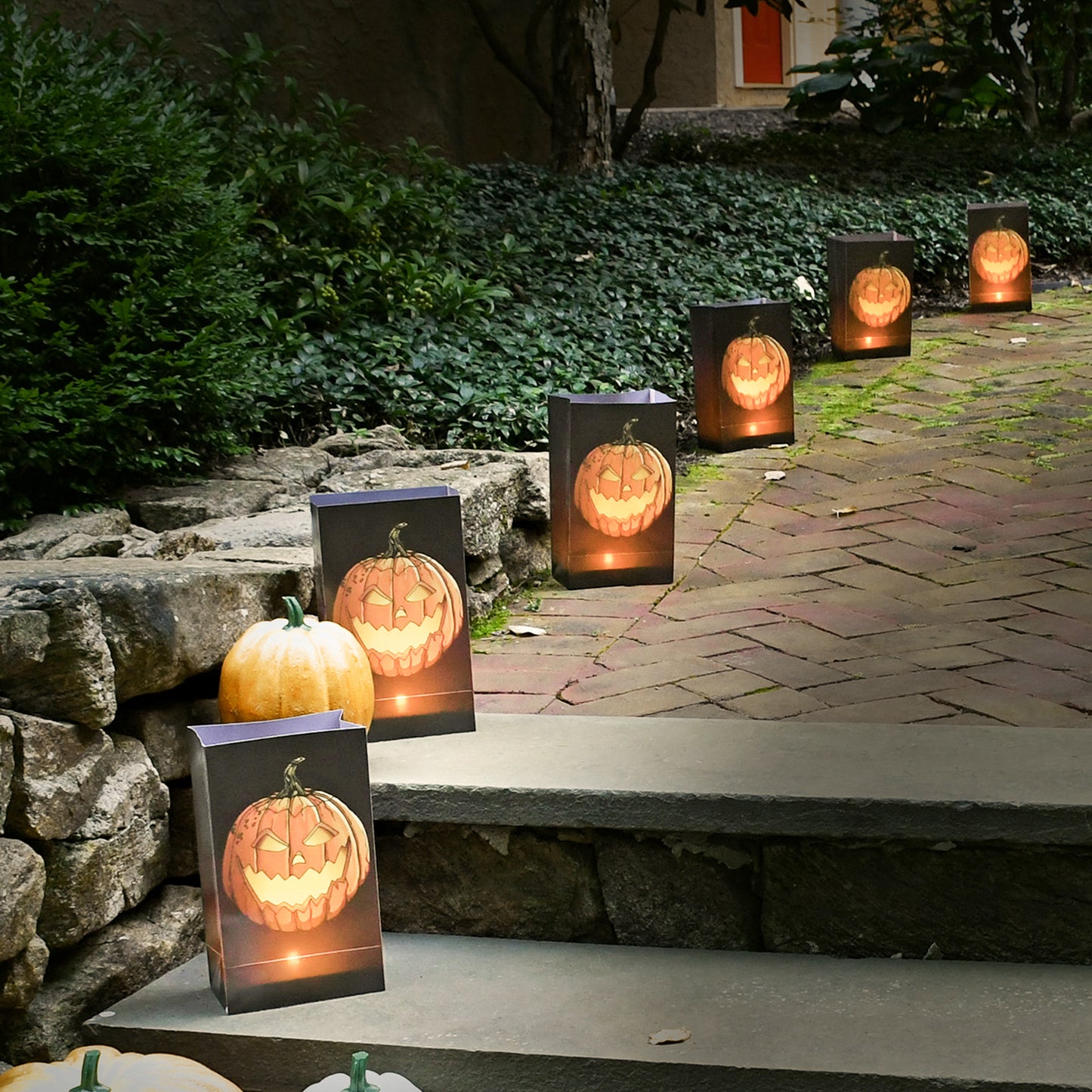 Battery-Operated Luminaria Kit with Timer - Set of Six