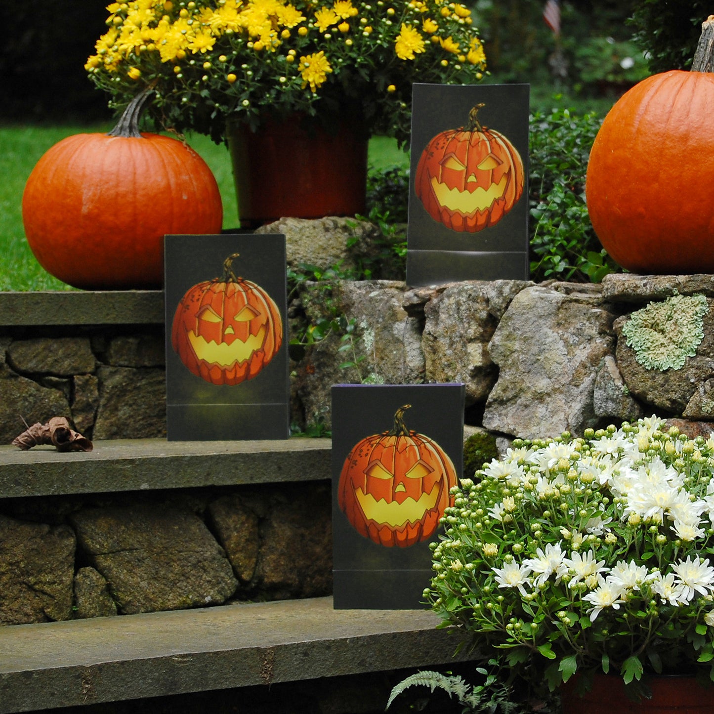 Battery-Operated Luminaria Kit with Timer - Set of Six