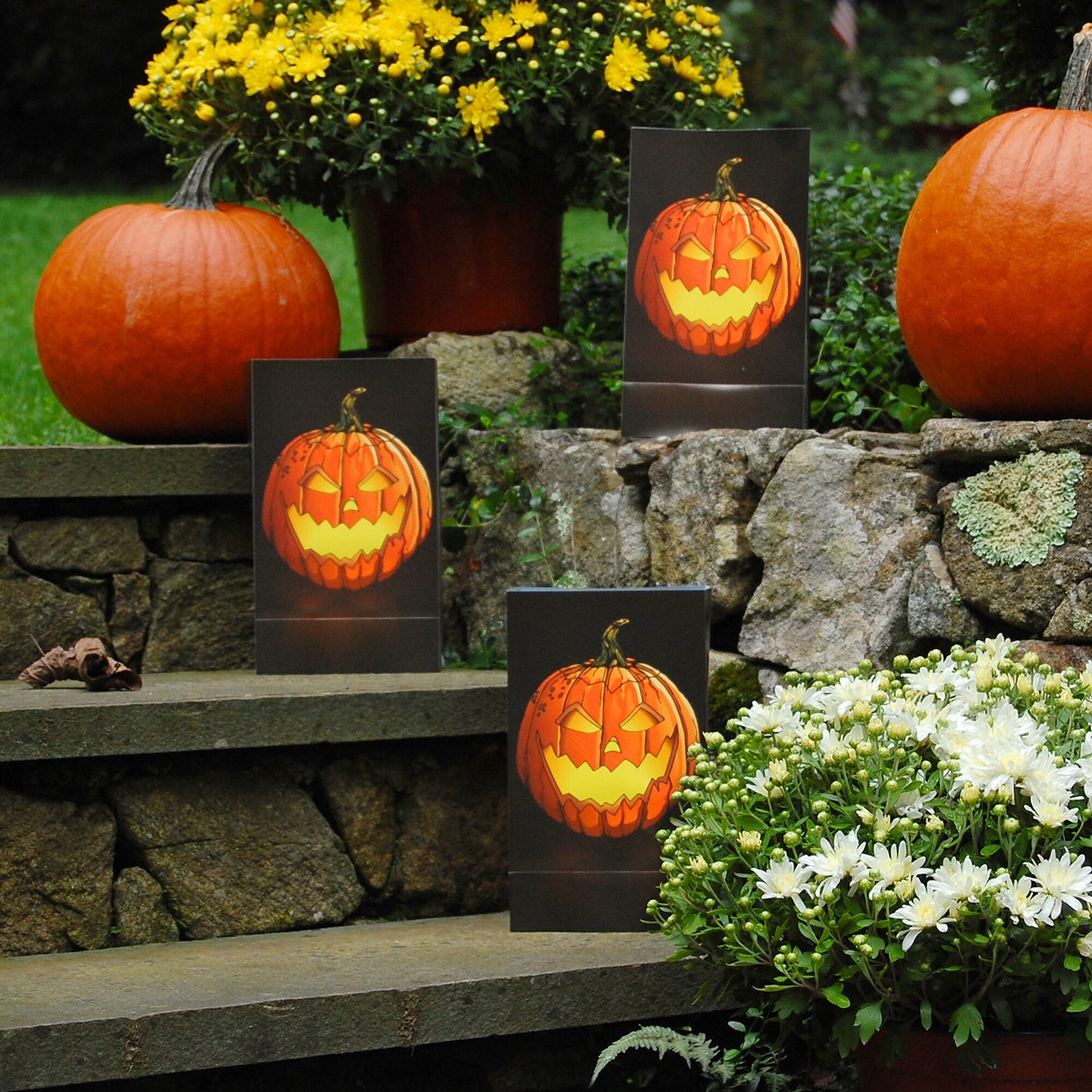 Battery-Operated Luminaria Kit with Timer - Set of Six