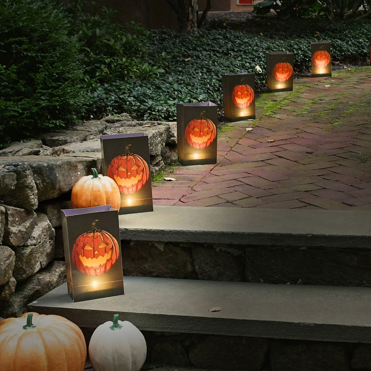Battery-Operated Luminaria Kit with Timer - Set of Six