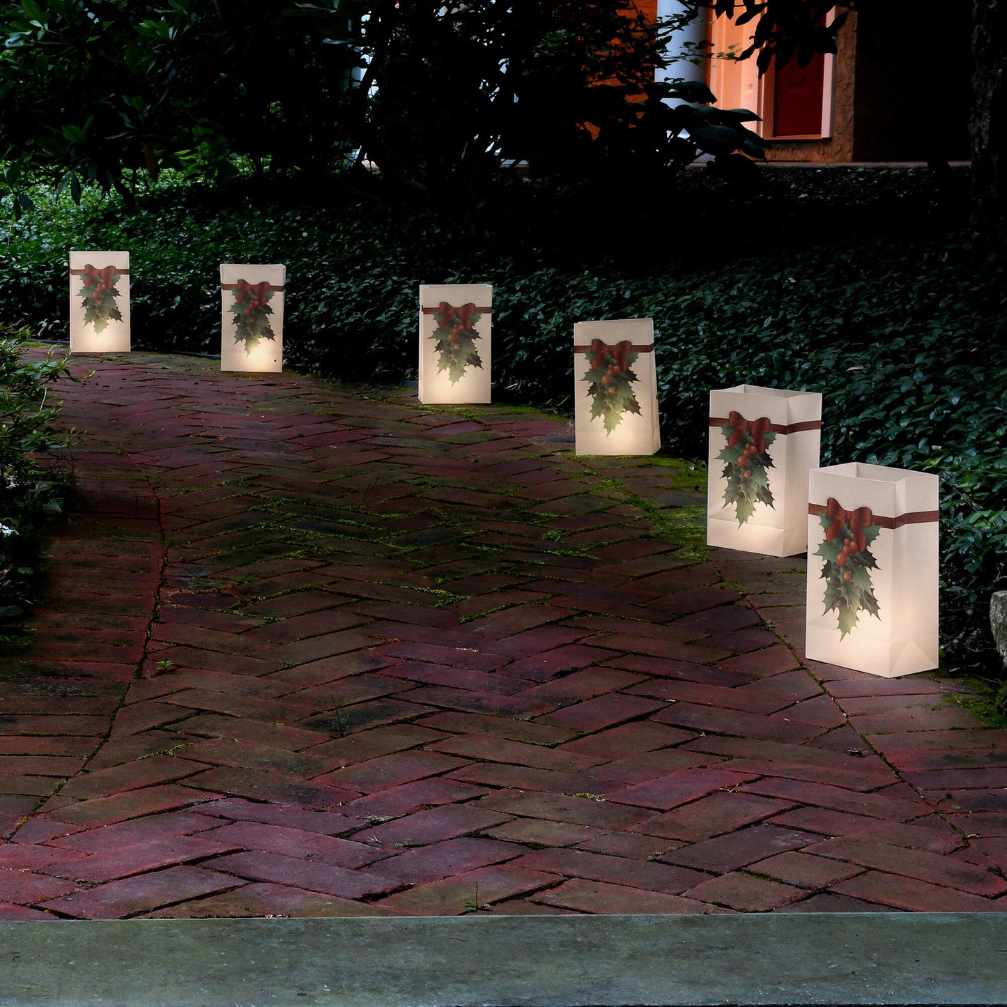 Battery-Operated Luminaria Kit - Set of 6