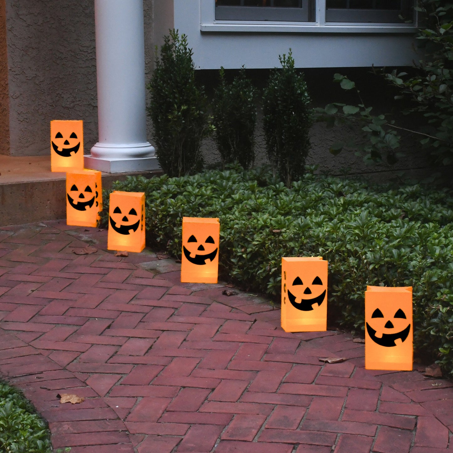 Battery-Operated Luminaria Kit with Timer - Set of Six