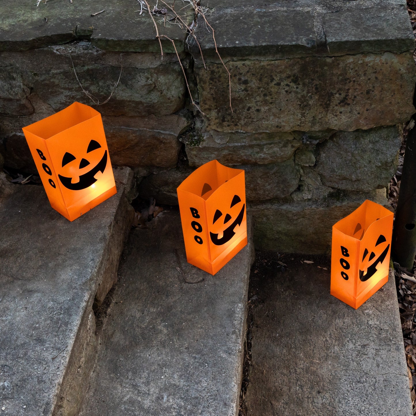 Battery-Operated Luminaria Kit with Timer - Set of Six