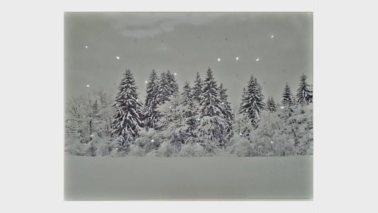 Battery-Operated Lighted Wall Art - Winter Pines