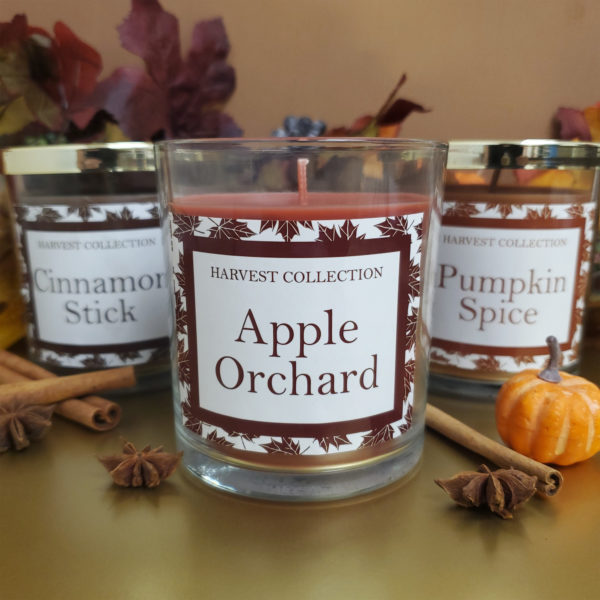 Fall scented candles surrounded by pumpkins, cinnamon sticks, and autumn leaves.
