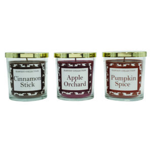 Fall scented candles smelling of autumn Apple Orchard, Cinnamon Stick, and Pumpkin Spice.