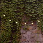 Solar patio string lights with soft white crystal balls hanging in the backyard.