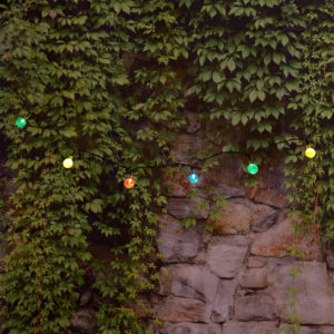 Solar power string lights with multicolor crystal balls hanging in the backyard.
